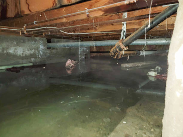 24/7 water damage repair in Willow Park, TX