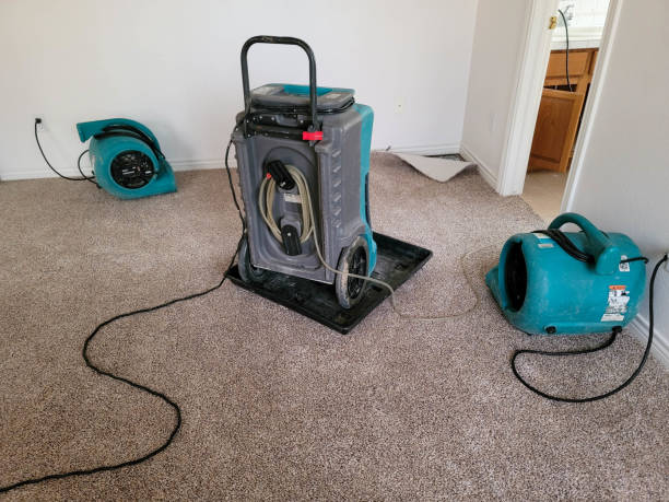 Best Local water damage restoration  in Willow Park, TX
