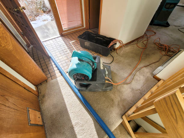 Best Sewage cleanup and water damage restoration  in Willow Park, TX