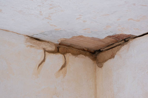 Best Basement water damage restoration  in Willow Park, TX