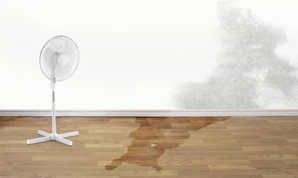 Best Water damage restoration experts  in Willow Park, TX