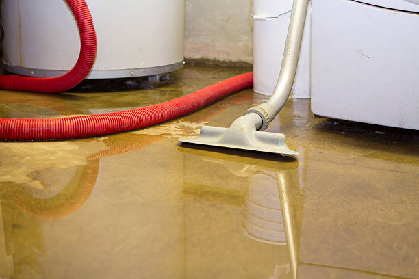 Best Water damage restoration cost  in Willow Park, TX